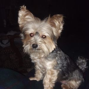 Meet your Posher, Keith